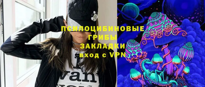 Галлюциногенные грибы Psilocybine cubensis  как найти наркотики  Дзержинский 